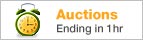 Auctions Ending in 1Hr