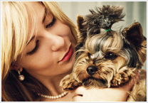 5 Ways to Pamper Your Pet on the Cheap